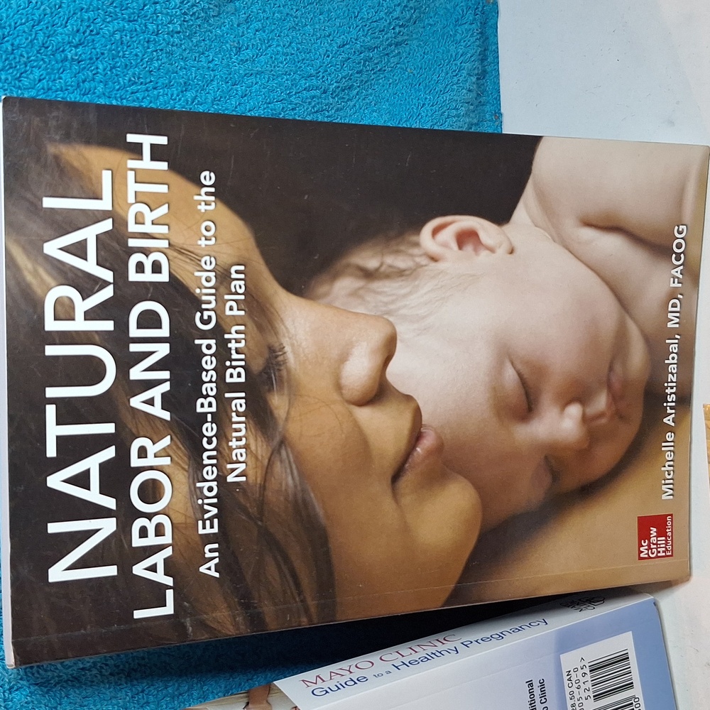 Pregnancy Book Bundle, Maternity Books, Mom Books Book Bindle - Picture 4 of 10